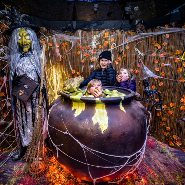Witch Cauldron Photo Op, 106x102x110cm - Image 6