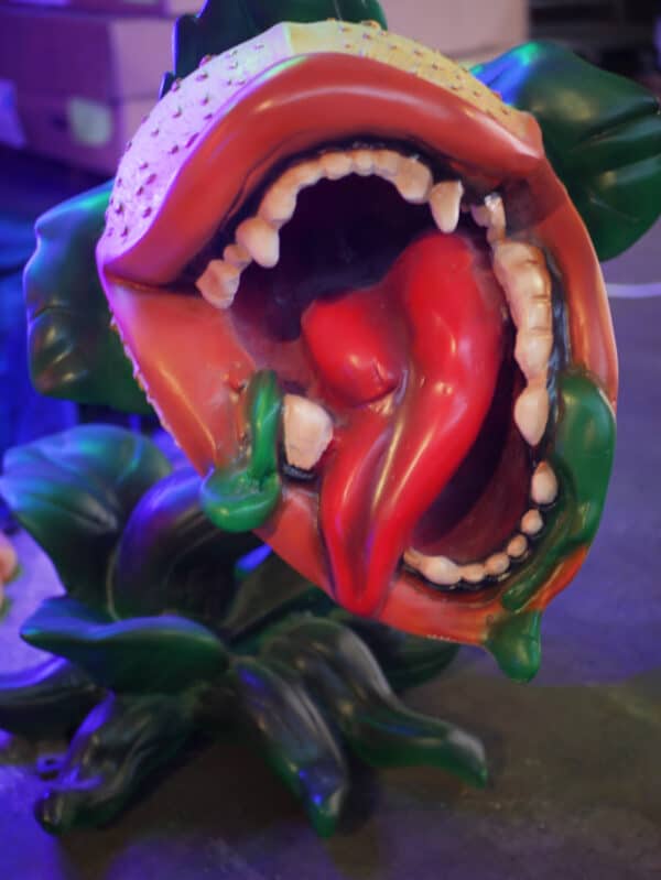 Carnivorous Plant 50cm x 65cm x 55cm (WxHxD)