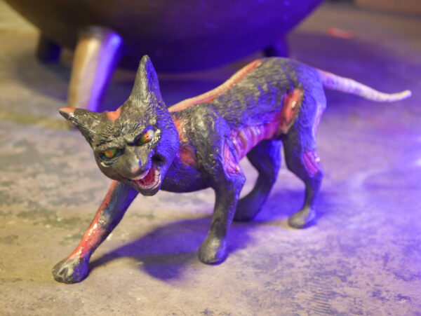 Cursed Cat, 60cm x 30cm x 15cm (WxHxD)