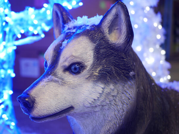 Husky, 25cm x 80cm x 105cm (WxHxD) - Image 6