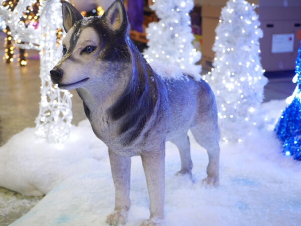 Husky, 25cm x 80cm x 105cm (WxHxD)