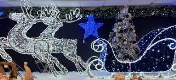 Dasher Reindeer Cool White , 163x25x180cm, 24v - Image 2