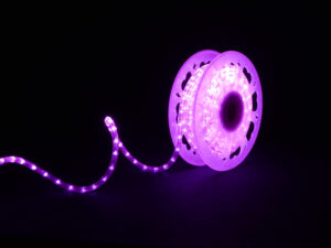 Rope Light 30/36V QF+, 20m, LED pink ø 13 mm, 10 LED/0,33m, Cutting unit: 0,33m, 30W