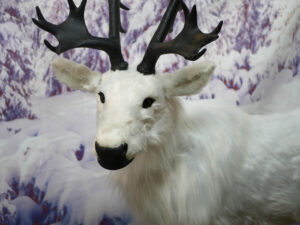 180cm White Reindeer