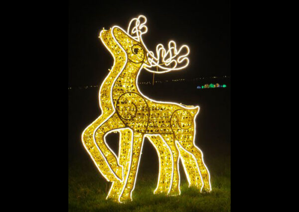 Reindeer, 180cm x 25cm x 128cm WW LEDS, 192w, 24v, 5m Power Cord, IP65 Plug