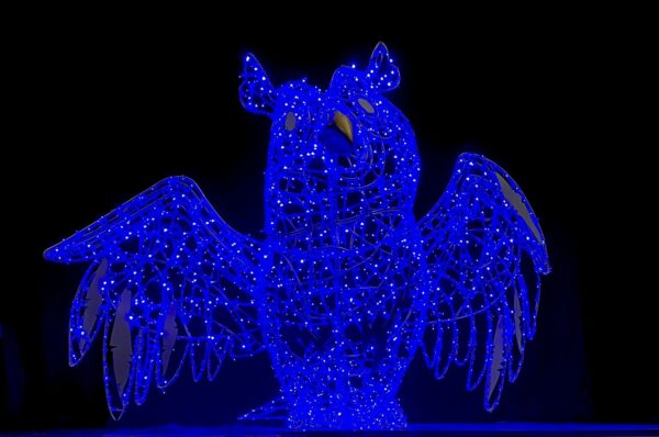 Owl Archibald 325x250x125 Dual WH & BL LED 36v - Image 4