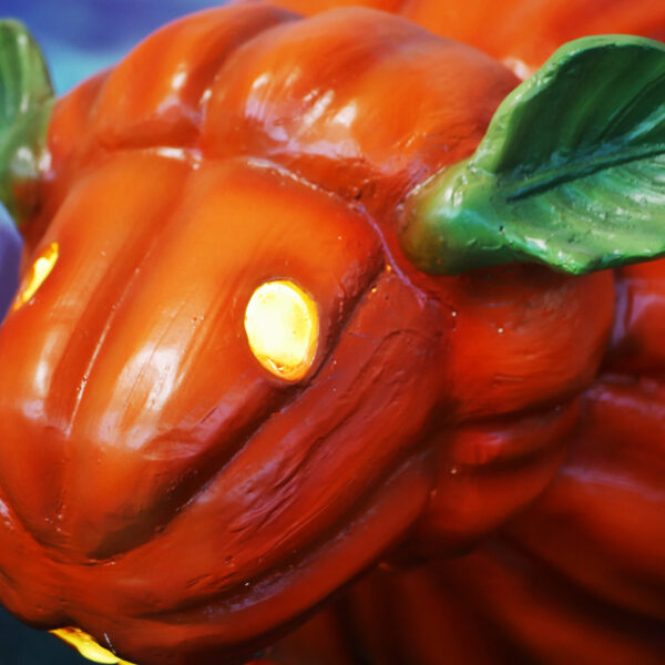 Pumpkin Sheep, 85cm x 60cm x 53cm - Image 9