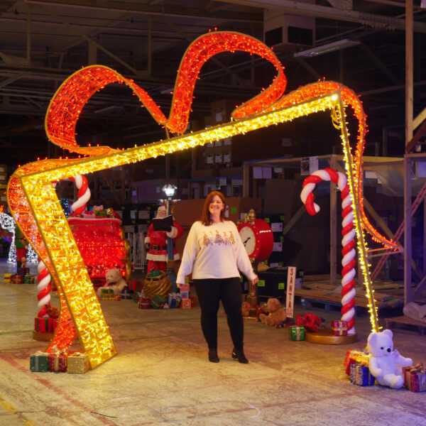 Bow & Ribbon Archway, 370x80x320cm, 24v, 5m Power Cord, IP65 Plug - Image 3