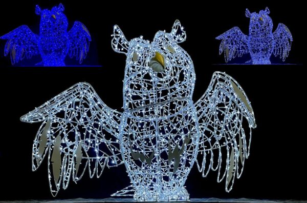 Owl Archibald 325x250x125 Dual WH & BL LED 36v