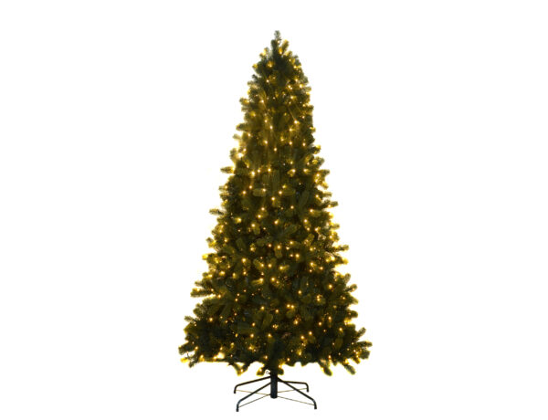 Deluxe Slim Mayberry PreLit Tree, 213cm x 117cm 560 WA WH LEDs 24V, 1437 Tips Incl Metal Stand