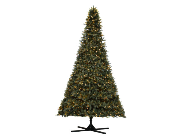 Deluxe Slim Mayberry PreLit Tree, 366cm x 213cm 1824 WA WH LEDs 24V, 5981 Tips Incl Metal Stand