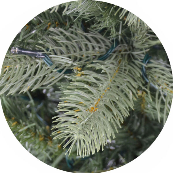 Deluxe Slim Mayberry PreLit Tree, 366cm x 213cm 1824 WA WH LEDs 24V, 5981 Tips Incl Metal Stand - Image 3