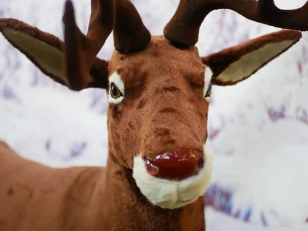 175cm Brown Prancing Red Nose Reindeer - Image 2