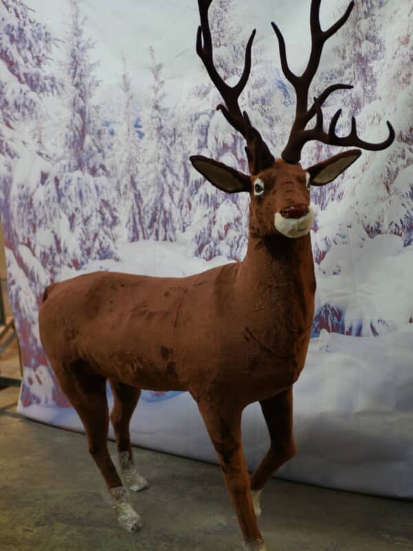 175cm Brown Prancing Red Nose Reindeer - Image 3