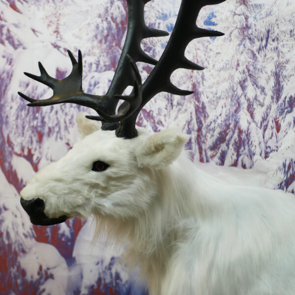 180cm White Reindeer - Image 5