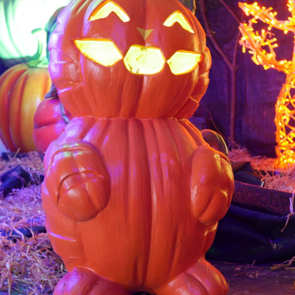 Pumpkin Cat 35x40x65cm, E27 bulb not included - Image 8