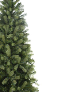 Deluxe Mayberry Tree, 450cm (H) x 289cm