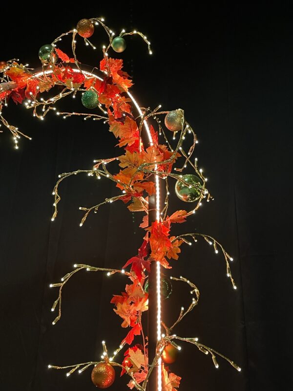 Autumn Arch 220x200cm Floor Self Standing P/C RAL9005 Black - Image 2