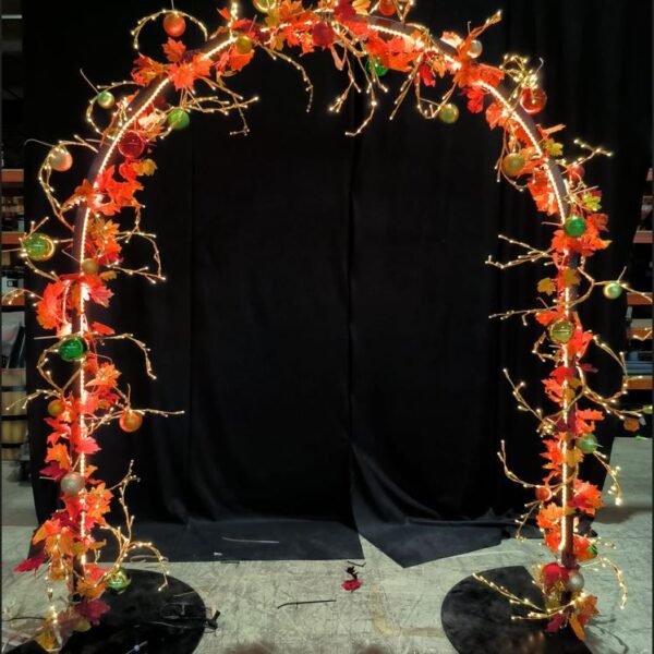 Autumn Arch 220x200cm Floor Self Standing P/C RAL9005 Black - Image 3