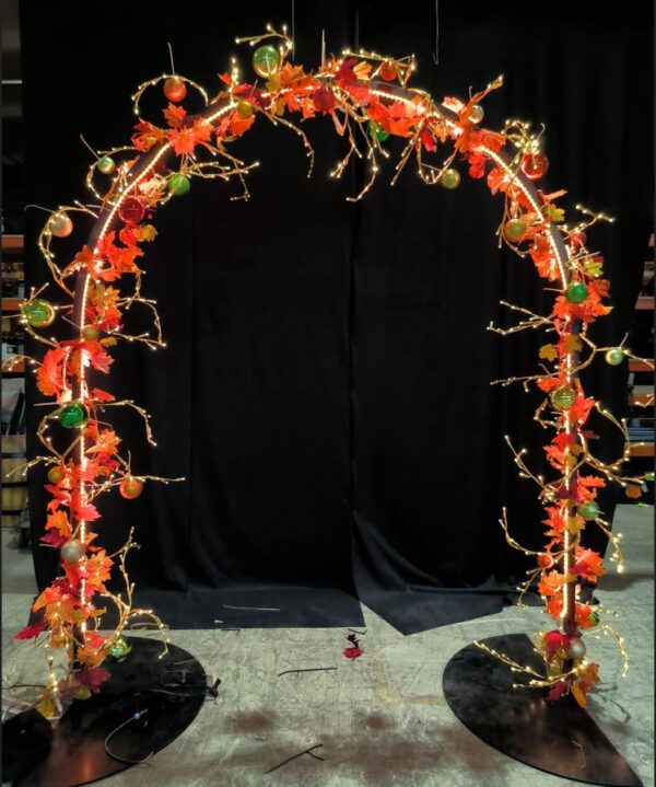 Autumn Arch 220x200cm Floor Self Standing P/C RAL9005 Black - Image 3