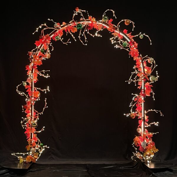 Autumn Arch 220x200cm Floor Self Standing P/C RAL9005 Black - Image 4