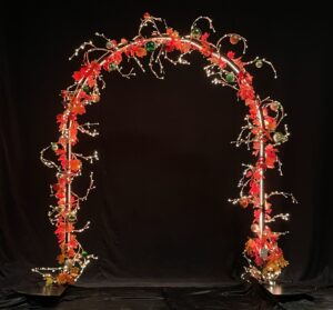 Autumn Arch 220x200cm Floor Self Standing P/C RAL9005 Black