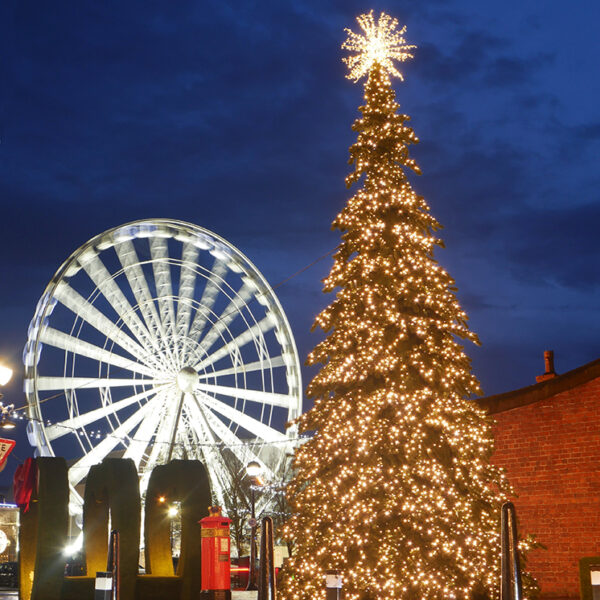 Royal Albert Dock Christmas Tree
