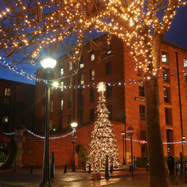 Royal Albert Dock Christmas Tree and Tree Lighting