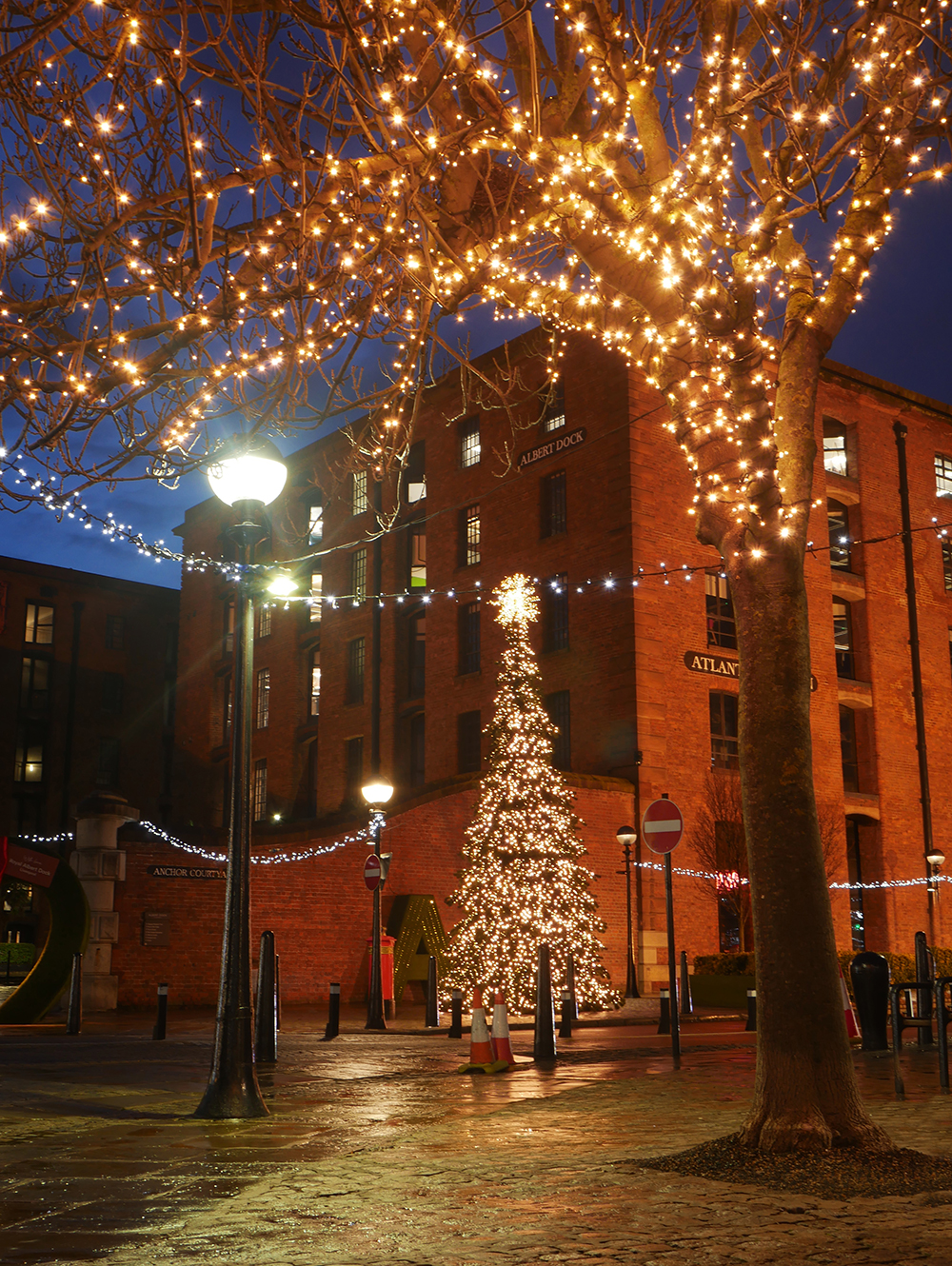 Royal Albert Dock Christmas Tree and Tree Lighting