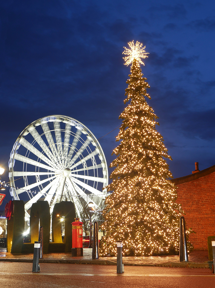 Royal Albert Dock Christmas Tree