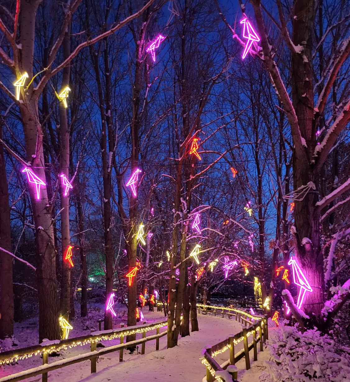 Geo Birdie, 71x86cm, Pink Contour Light - Image 2