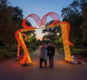 Bow & Ribbon Arch, 370x80x320cm, 24v, 5m Power Cord, IP65 Plug