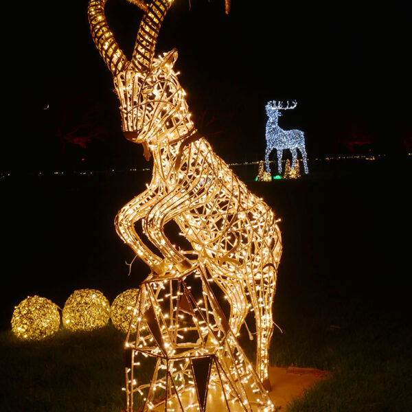 Capricorn Light Sculpture