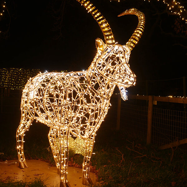 Capricorn Light Sculpture