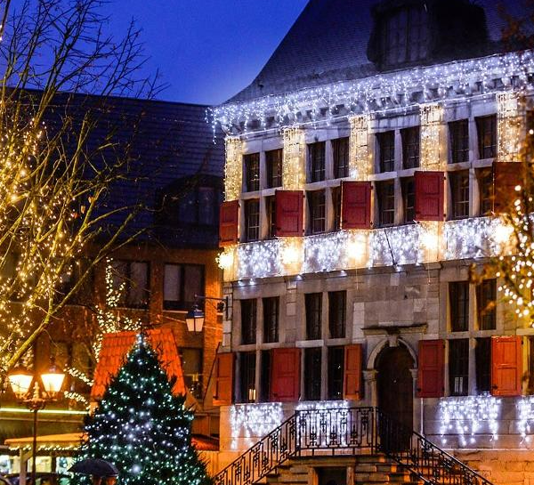 Ice Lite®QF+, 114 LEDbl, 3m x 0,5m white cable, 230V, 7W - Image 3