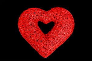 Organic Heart, 100x86x27cm