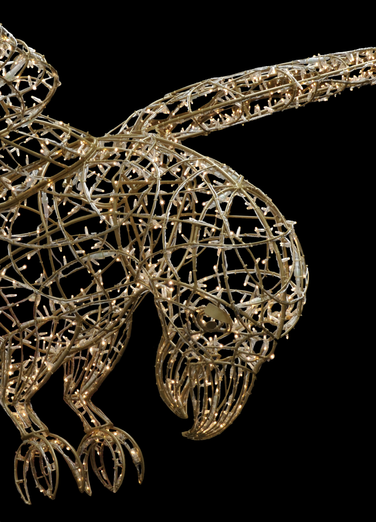 Parrot, 340x280x300cm - Image 2