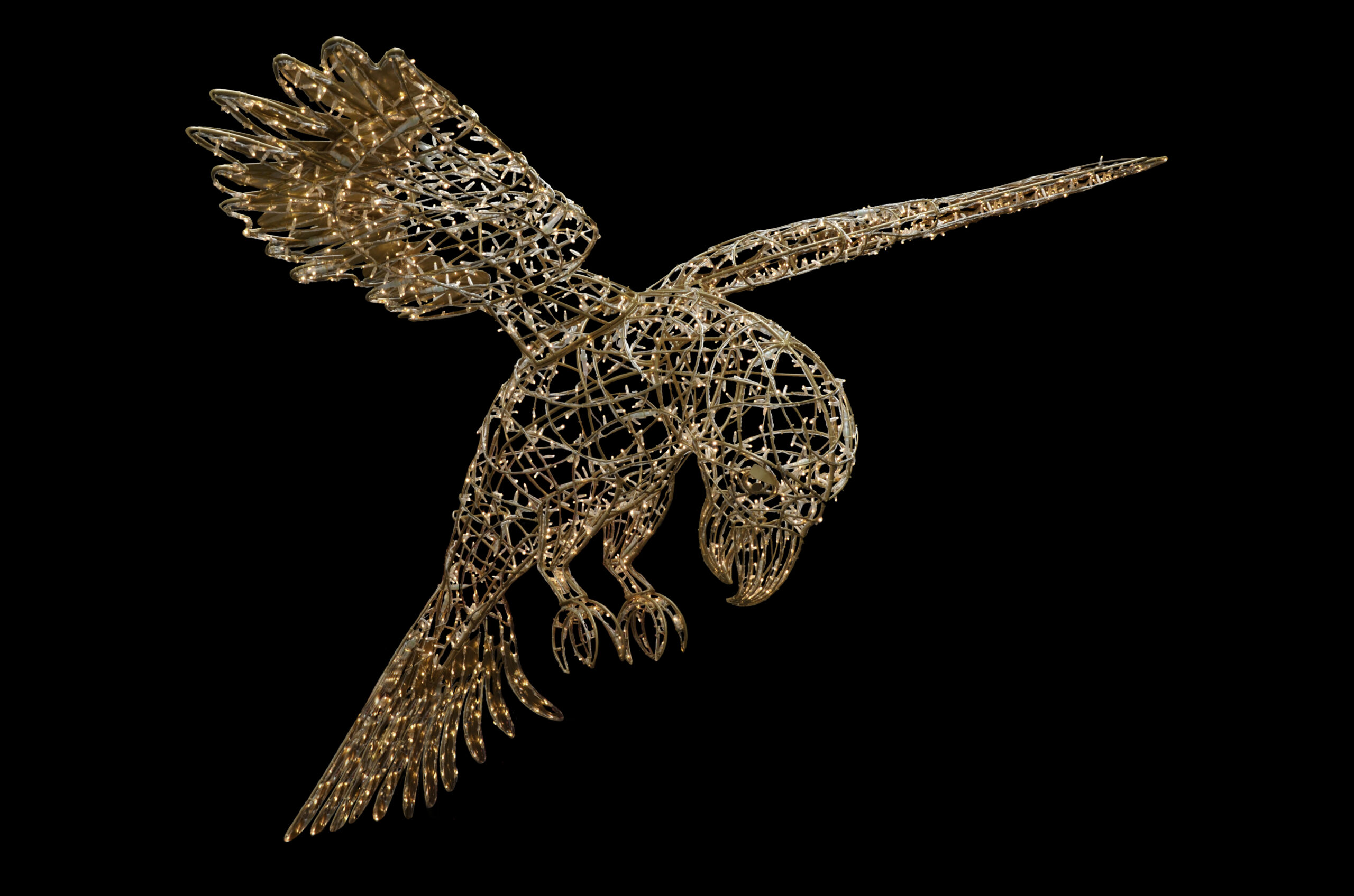 Parrot, 340x280x300cm - Image 3