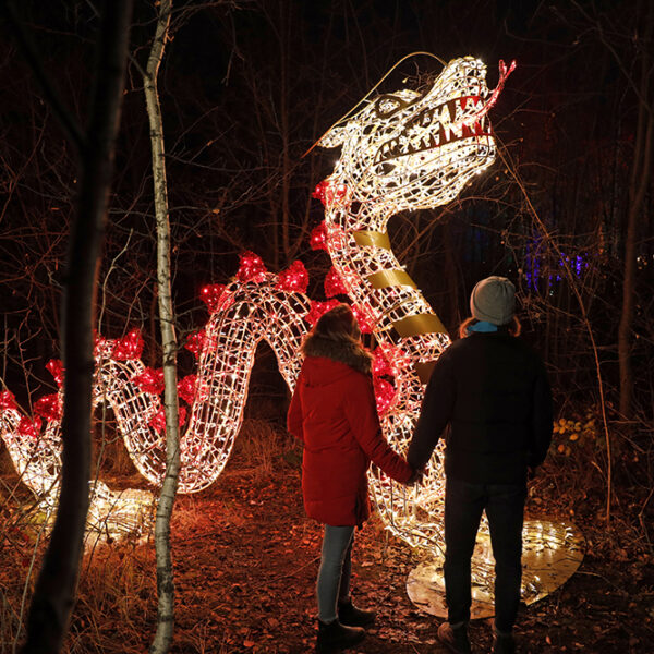 Dragon Light Sculpture 1