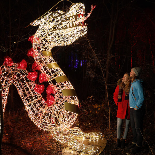 Dragon Light Sculpture 2