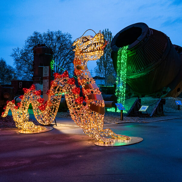 Dragon Light Sculpture 4