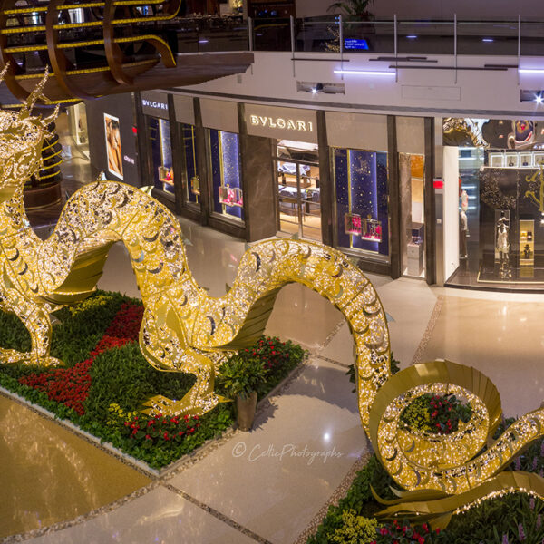 Dragon Light Sculpture 7