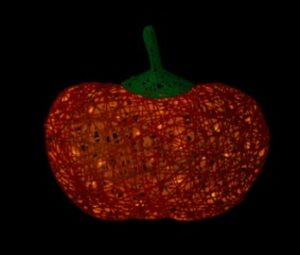 Organic Pumpkin, 80x64x72cm