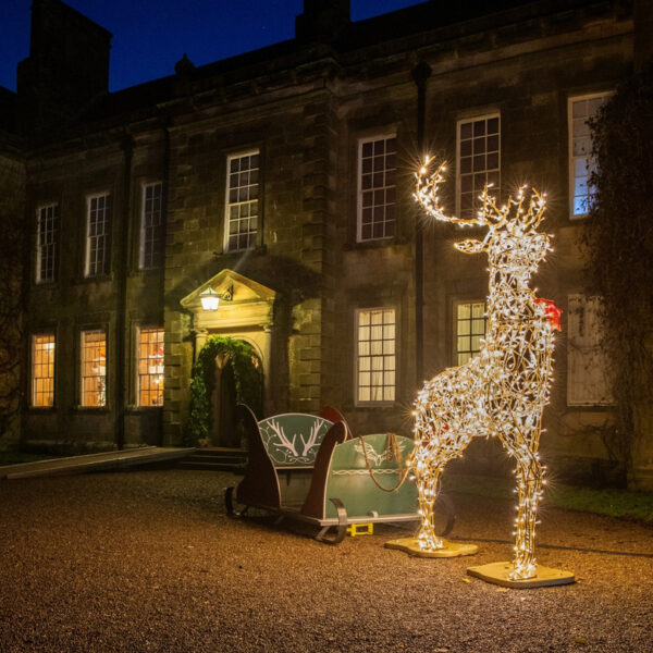Commercial Christmas Display pic with Stag
