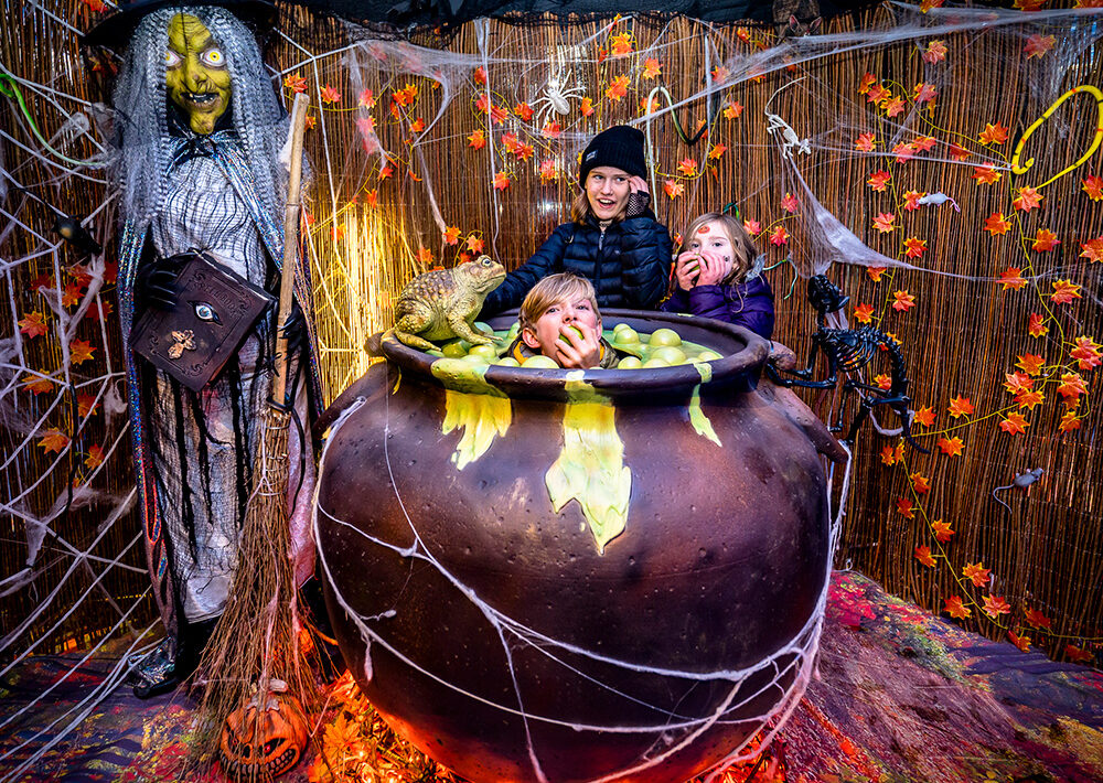 Halloween Cauldron Photo Op Prop