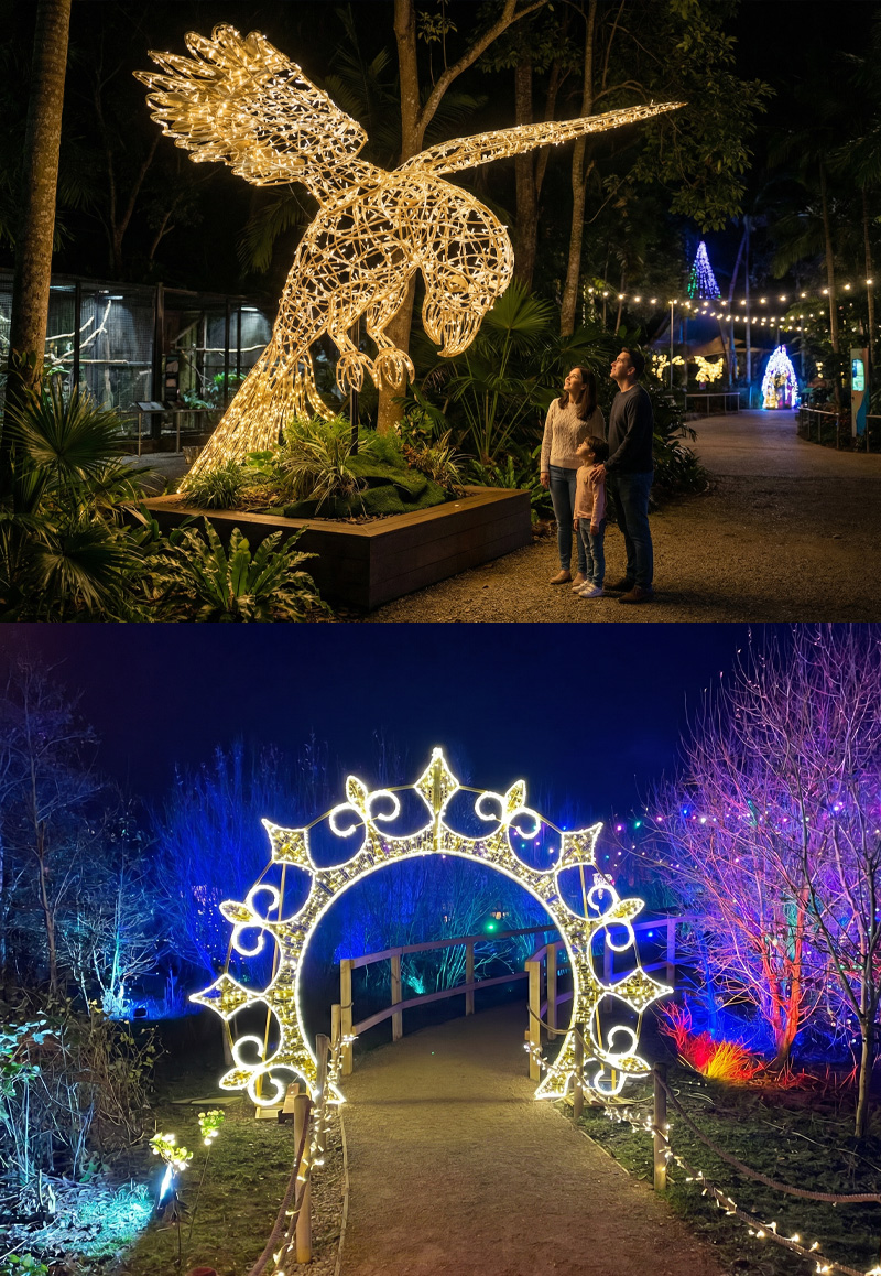 Christmas Light Trail Images