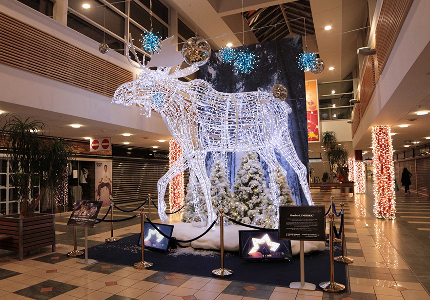 Henry the Moose Light Sculpture in Shopping Centre