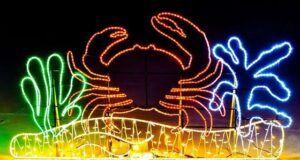 Crab, 270cm x 140cm