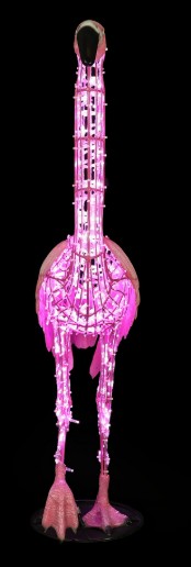 Flamingo Walking, 35x88x160cm - Image 2