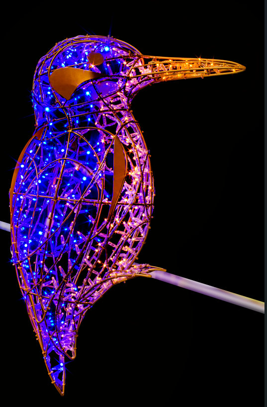 Kingfisher - Small, 86x30x100cm - Image 2